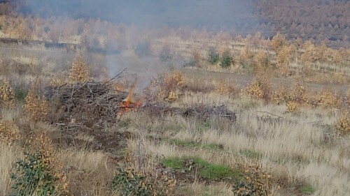 img_088d23ee2dd2.jpeg