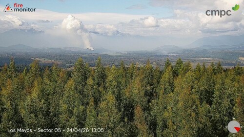 img_40e129c89070.jpeg
