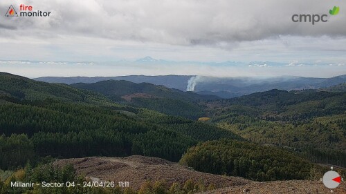 img_df39cc8e753a.jpeg