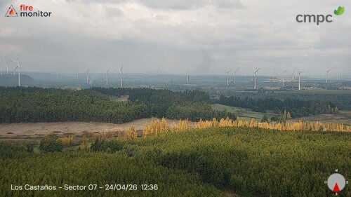 img_f343f33e342a.jpeg