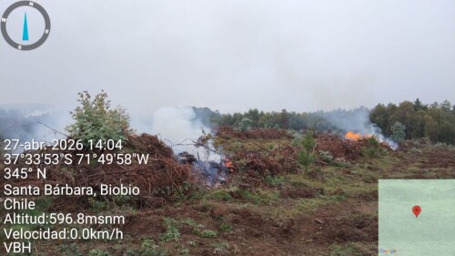 img_9df3d7df3257.jpeg