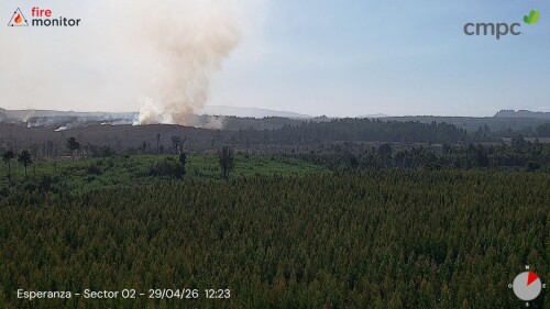 img_6ef541b3cf9f.jpeg