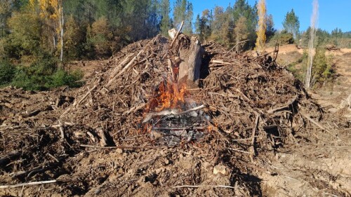 img_d43cdb768f28.jpeg