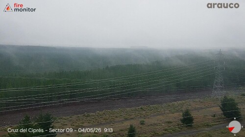 img_267e20b69435.jpeg