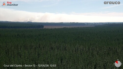 img_8691f9d1680a.jpeg