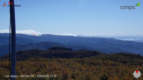 img_357a59dbd1e1.jpeg