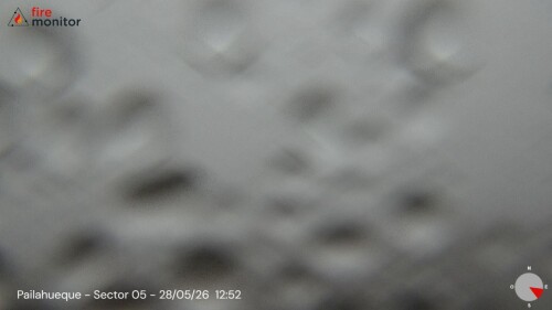 img_1036337b6034.jpeg