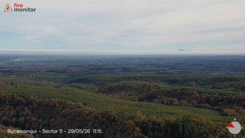 img_b1a060a75aeb.jpeg