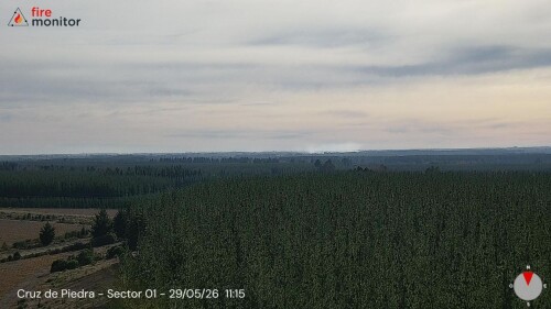 img_ed5e4164fd33.jpeg