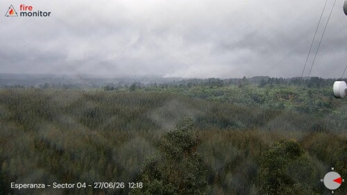 img_4fb230233a3e.jpeg
