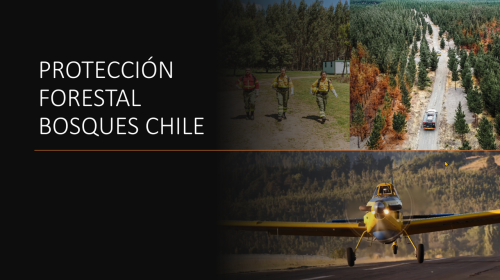 Imagen1.png