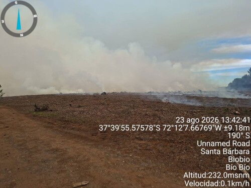 img_7d8758aa91f0.jpeg